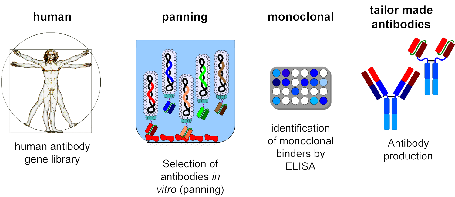 Panning Schema – Grafik